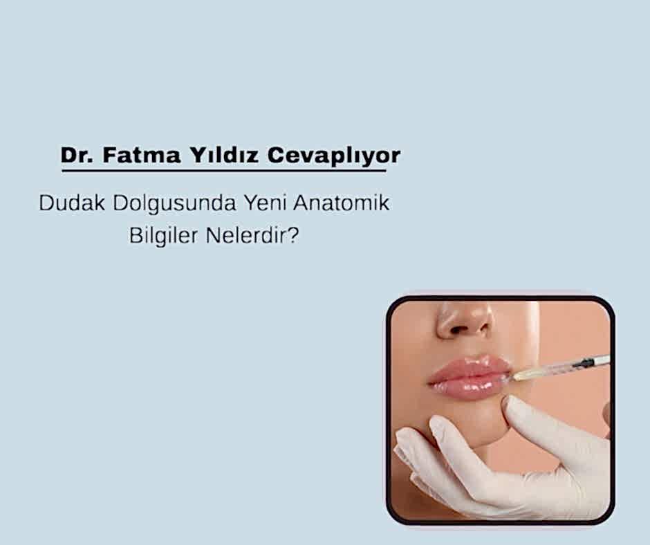 Dudak Dolgusu&nbsp;Yeni Anatomik Bilgiler Nelerdir?